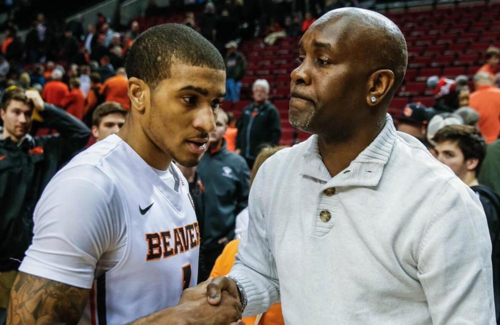 也证明他们 也证明他们